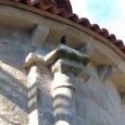 choucas des tours