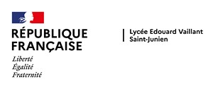 logo site
