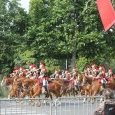 Défilé du 14 juillet