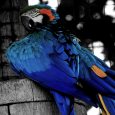 PNG - 518.2 kio