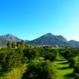 La plaine d'Argolide